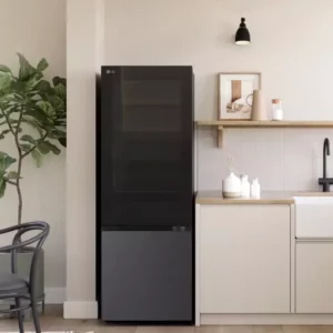 LG GB-V300MBL 340L Bottom Mount Fridge with Instaview_Carton Damaged