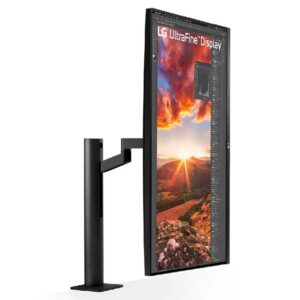 LG 31.5" UltraFine™ UHD 4K Ergo IPS Monitor with USB Type-C™ 32UN880K-B