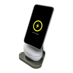 Sprout SWLCHG103GY 15W 2in1 Wireless Charger - Carton Damaged